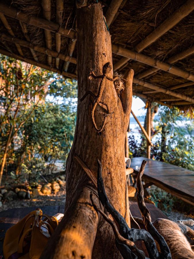 Happy Lemon Tree Lodge Sauraha Exterior foto